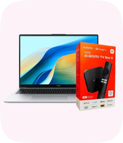 Laptops & Accessories