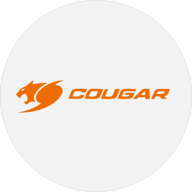 /electronics-and-mobiles/video-games-10181/cougar