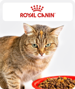 /royal_canin?sort[by]=popularity&sort[dir]=desc