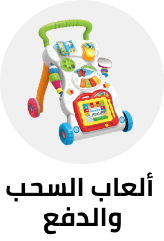 /toys-and-games/baby-and-toddler-toys/push-and-pull-toys-20494