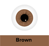 /beauty-and-health/beauty/personal-care-16343/eye-care/prescription-contact-lenses?f[lens_colour_family]=brown&sort[by]=popularity&sort[dir]=desc