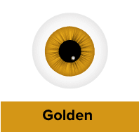 /beauty-and-health/beauty/personal-care-16343/eye-care/prescription-contact-lenses?f[lens_colour_family]=gold&sort[by]=popularity&sort[dir]=desc