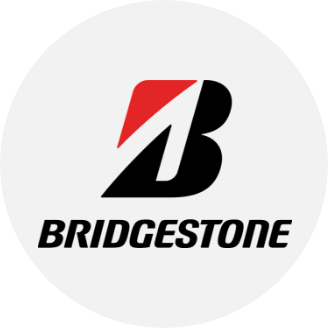 /automotive/tires-and-wheels-16878/tires-18930/bridgestone