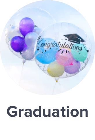 /toys-and-games/party-supplies-16697?f[occasion]=graduation