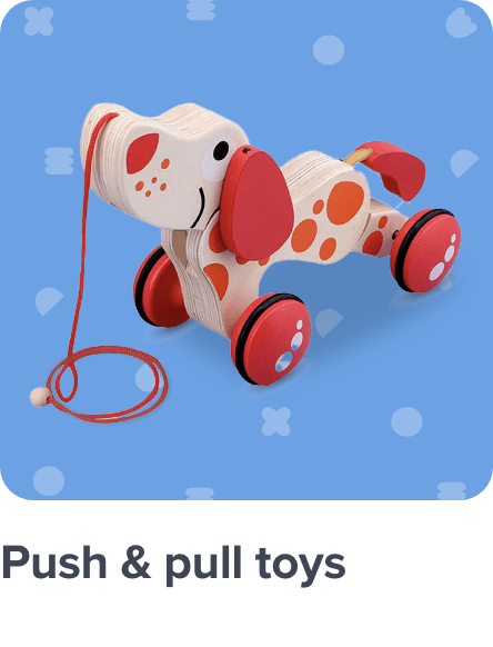 /toys-and-games/baby-and-toddler-toys/push-and-pull-toys-20494?av=0