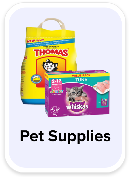 /pet-supplies/noon-rocket