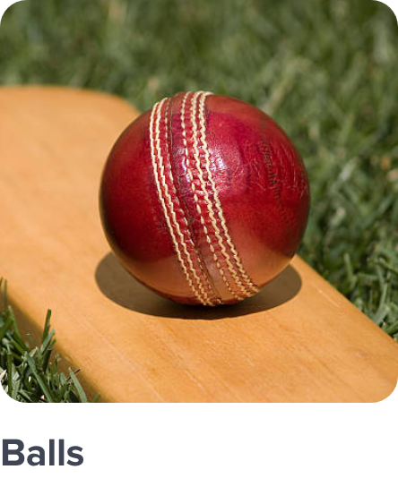 /sports-and-outdoors/sports/team-sports/cricket-16076/cricket-balls