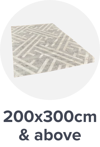 /home-and-kitchen/home-decor/area-rugs-and-pads?f[carpet_rug_size]=200_300_cm_above