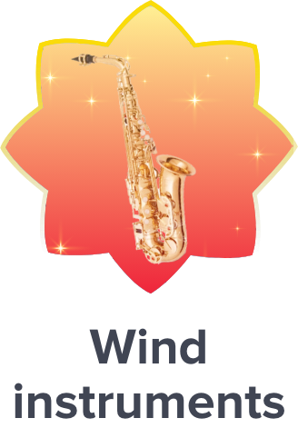 /music-movies-and-tv-shows/musical-instruments-24670/wind-instruments