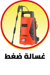 /tools-and-home-improvement/power-and-hand-tools/power-tools/pressure-washer?sort[by]=popularity&sort[dir]=desc