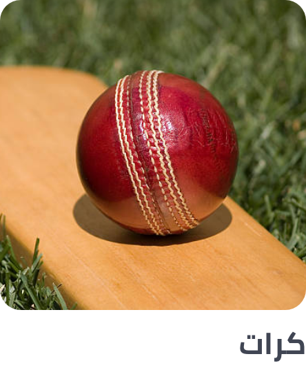 /sports-and-outdoors/sports/team-sports/cricket-16076/cricket-balls