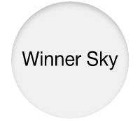/sports-and-outdoors/action-sports/scooters-and-equipment-18103/scooters-19744/winner_sky?sort[by]=popularity&sort[dir]=desc