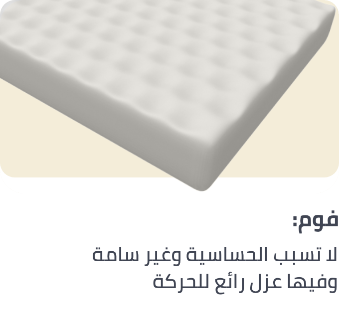 /home-and-kitchen/furniture-10180/bedroom-furniture/mattresses-and-box-springs?f[base_material]=foam