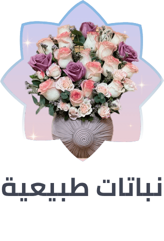 /home-and-kitchen/patio-lawn-and-garden/horticulture-plants-seeds/al_khaldiya/story_of_candle