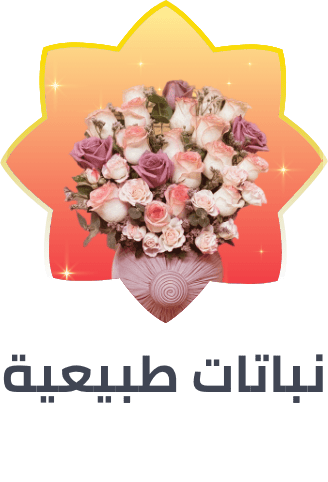 /home-and-kitchen/patio-lawn-and-garden/horticulture-plants-seeds/al_khaldiya/story_of_candle