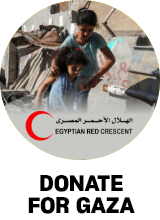 https://egyptianrc.org/en/donation