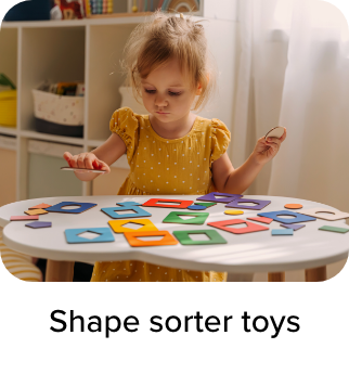 /toys-and-games/baby-and-toddler-toys/shape-sorters