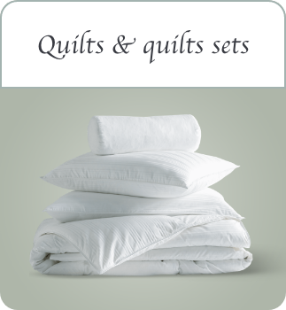 /home-and-kitchen/bedding-16171/quilts-quilt-sets?sort[by]=popularity&sort[dir]=desc