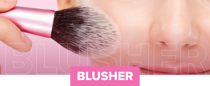 /eg-brushes-blusher-fk