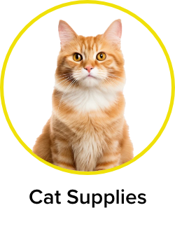 /pet-supplies/cats-16737?sort[by]=popularity&sort[dir]=desc