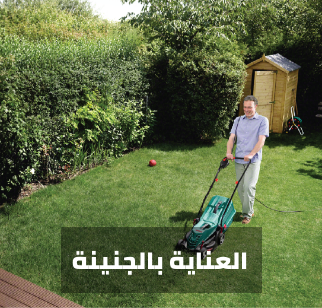 /home-and-kitchen/patio-lawn-and-garden/gardening-and-lawn-care/eg-bosch-tools