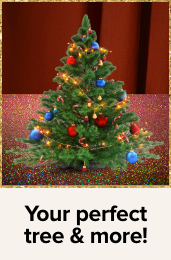 /search?q=christmas trees/&originalQuery=christmas trees/&sort[by]=popularity&sort[dir]=desc
