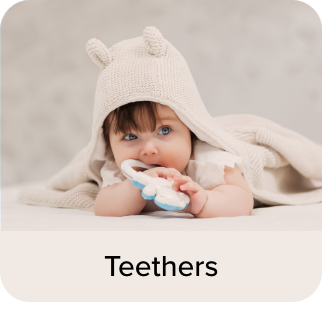 /baby-products/feeding-16153/teethers-23431