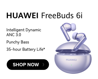 /eg-sep24-huawei-freebud6i