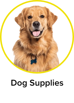 /pet-supplies/dogs-16275?sort[by]=popularity&sort[dir]=desc