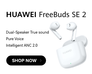 /eg-sep24-huawei-freebudse2